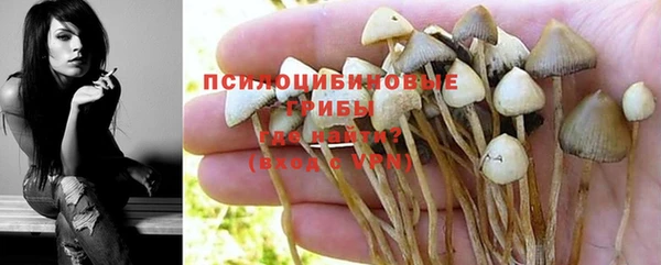 apvp Пестово