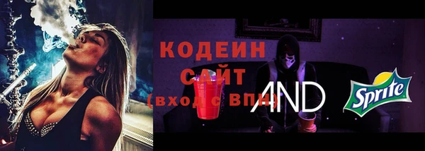 apvp Пестово