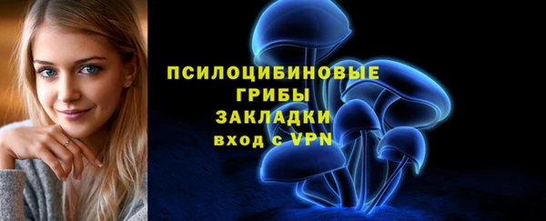 соль ск Переславль-Залесский