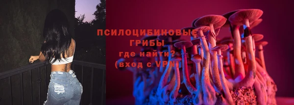 apvp Пестово