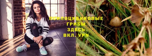 apvp Пестово