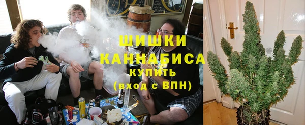 apvp Пестово