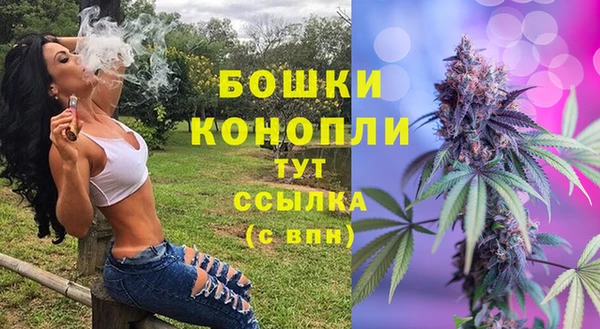a pvp Пересвет