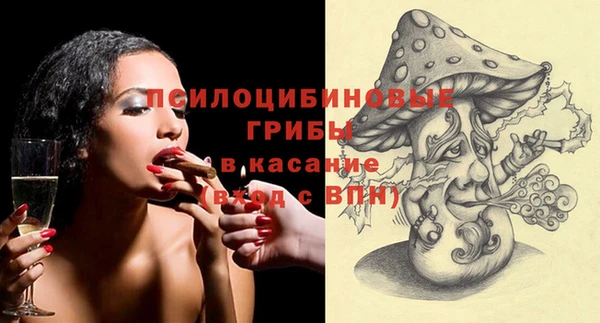 соль ск Переславль-Залесский