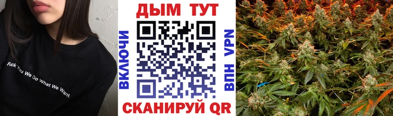 Купить где  Торжок  Конопля конопля 